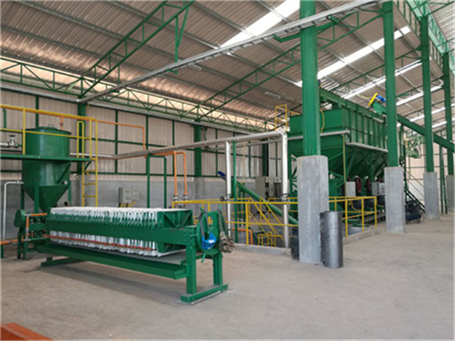 Planta procesadora de aceite de semilla de calabaza y palma (gzs70f1)