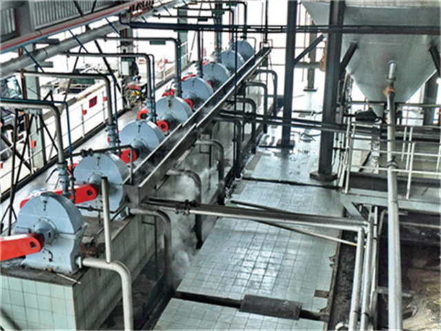 Línea de producción de aceite de palma de maíz comercial en Perú