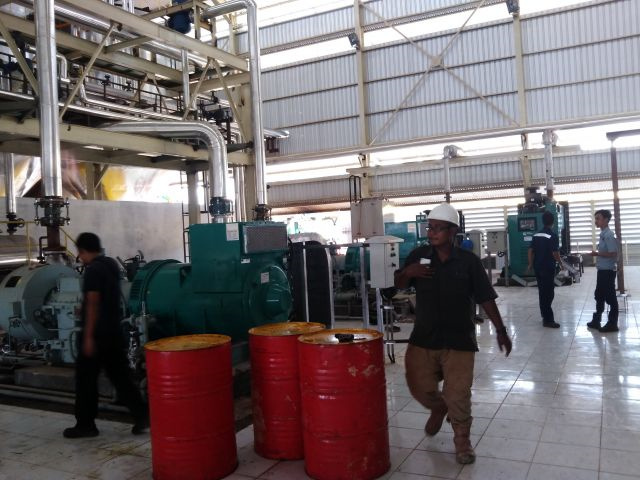 Venta caliente de máquinas de cadena de procesamiento de aceite de palma, jengibre y cacahuete