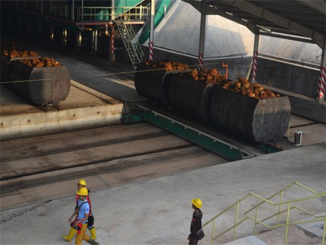 La línea de máquinas para producir aceite de palma más diseñada en Honduras