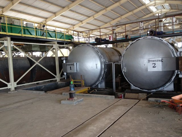 Planta de prensado de aceite de grano de café de palma en Guinea Ecuatorial