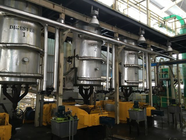 Línea de producción de aceite de palmiste con certificación ISO CE en San Salvador