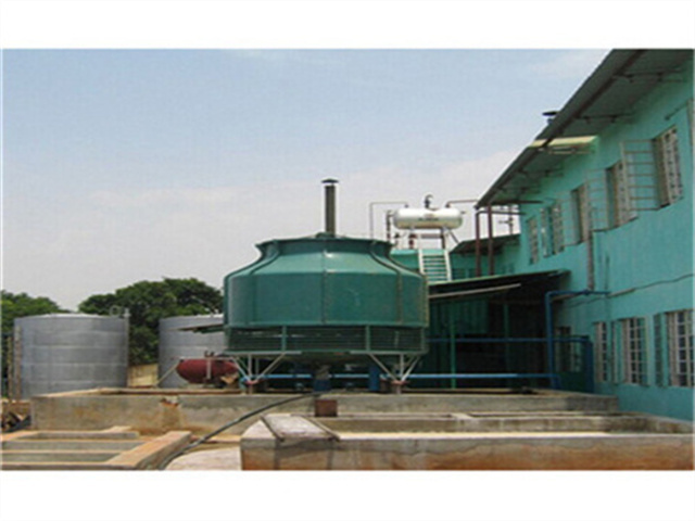 Máquina de cadena de procesamiento de aceite de palma y semillas de sésamo en Argentina