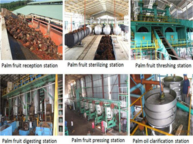 Línea de producción de aceite de palma en frío Cuba de 5000 kg/h