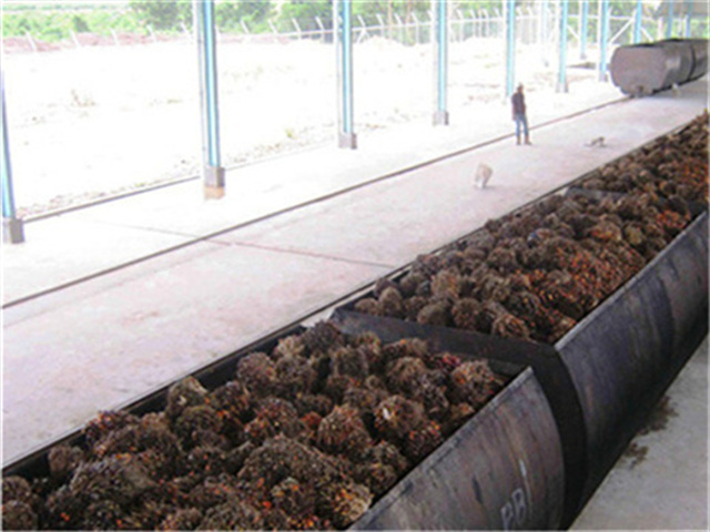 Línea de extracción de aceite de palma de linaza de Venezuela