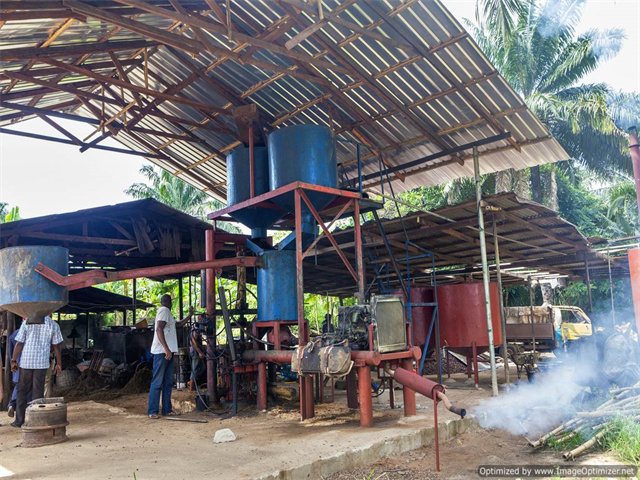 Maquinaria multifuncional para el procesamiento de aceite de palma en México