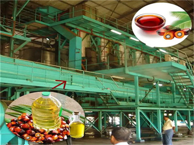 Máquina de pellets de hojas de palma aceitera de Ecuador (1-1,5 toneladas)