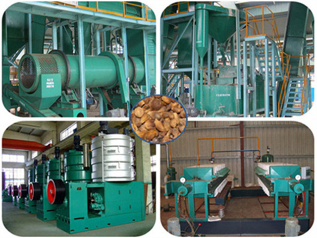 Equipos para la producción de aceite de germen de palma en Perú