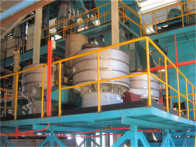 Máquina de cadena de procesamiento de aceite de palma local de República Dominicana