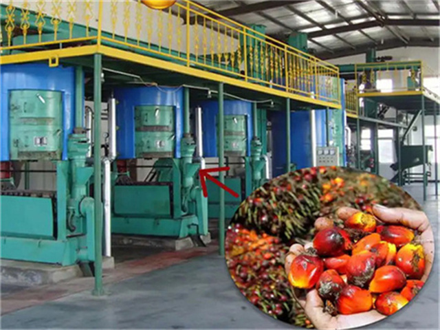 Máquina para procesar aceite de palma en Argentina