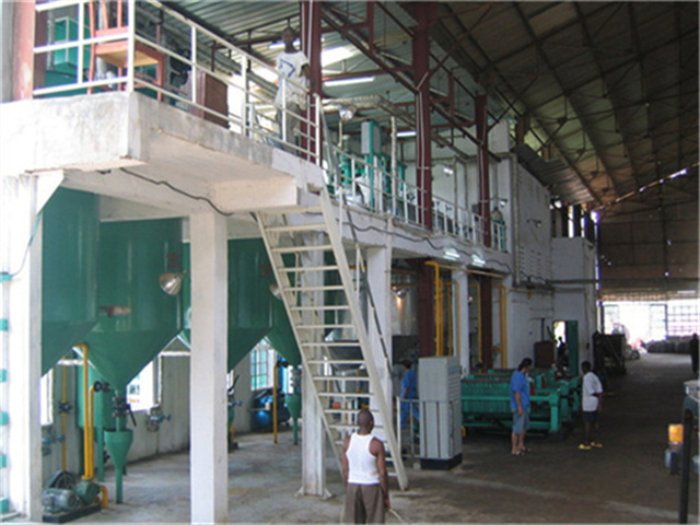 Máquina de molino Freedom de 2 plantas para la extracción de aceite de palma