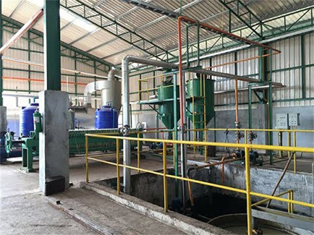 La máquina para hacer aceite de palma roja más vendida en Costa Rica