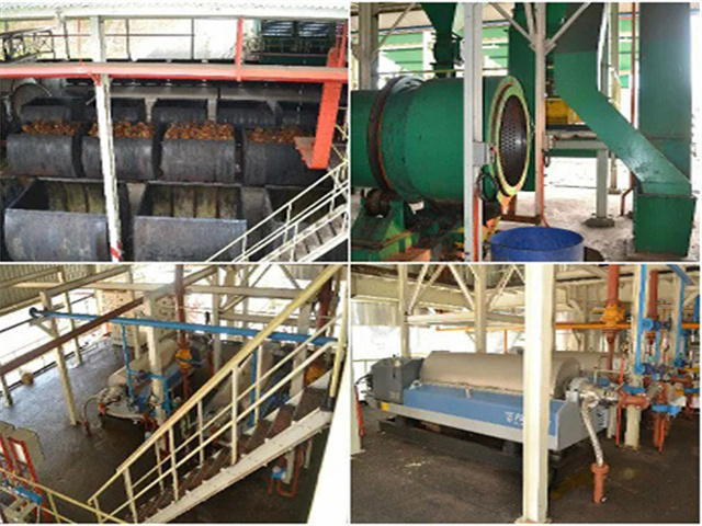 Máquina de línea de producción de aceite de palma de 600 kg/h exportada desde Ecuador