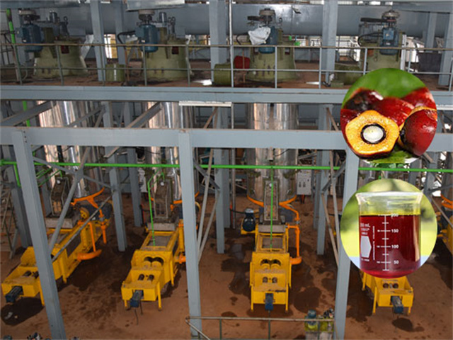 Línea de producción de aceite de palma con prensa FFB de 20 t/h en España
