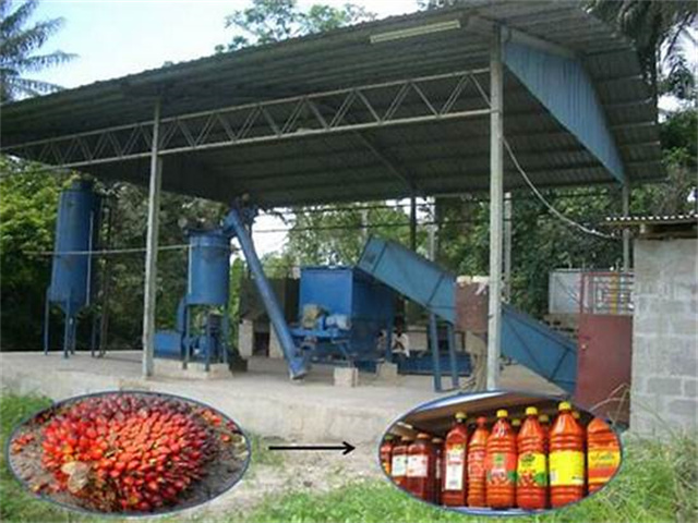 Venta caliente de máquinas de molienda de aceite de palma en Tegucigalpa