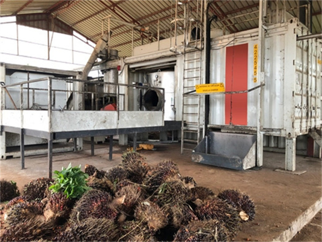 Máquina para producir ghee puro líquido con aceite de palma en Puerto Rico