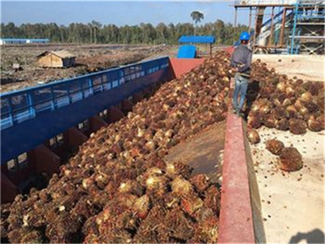 Fabricante de máquinas para molino de aceite de palma en Venezuela, las mejores ventas
