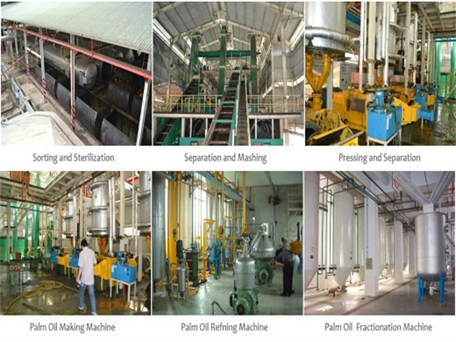 Extractor de aceite de palma fabricado en Costa Rica de alta calidad