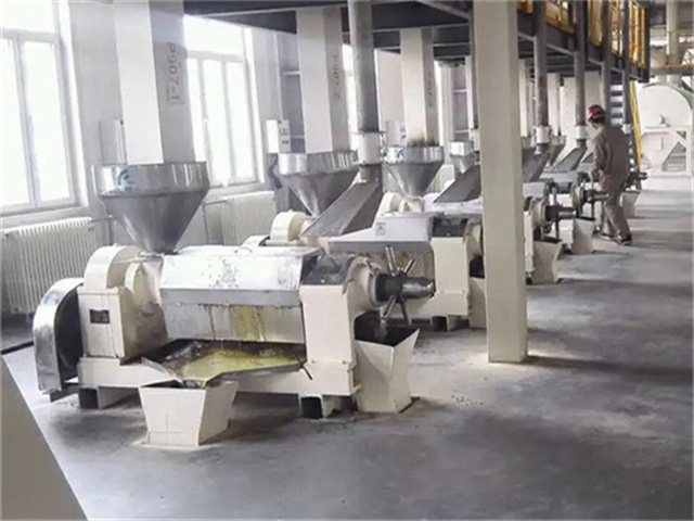 Máquina de molienda de aceite de palma con valor calórico a precio de fábrica en Panamá