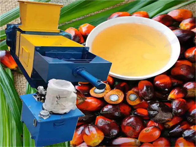 Maquinaria especial para molino de aceite de palma en México y Gabón
