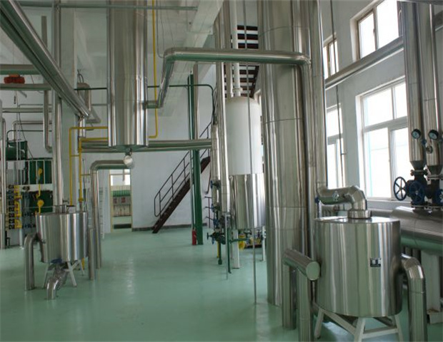 Guinea Ecuatorial. La mejor refinería de aceite de palma del mundo